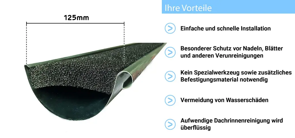 125er vorteile.webp