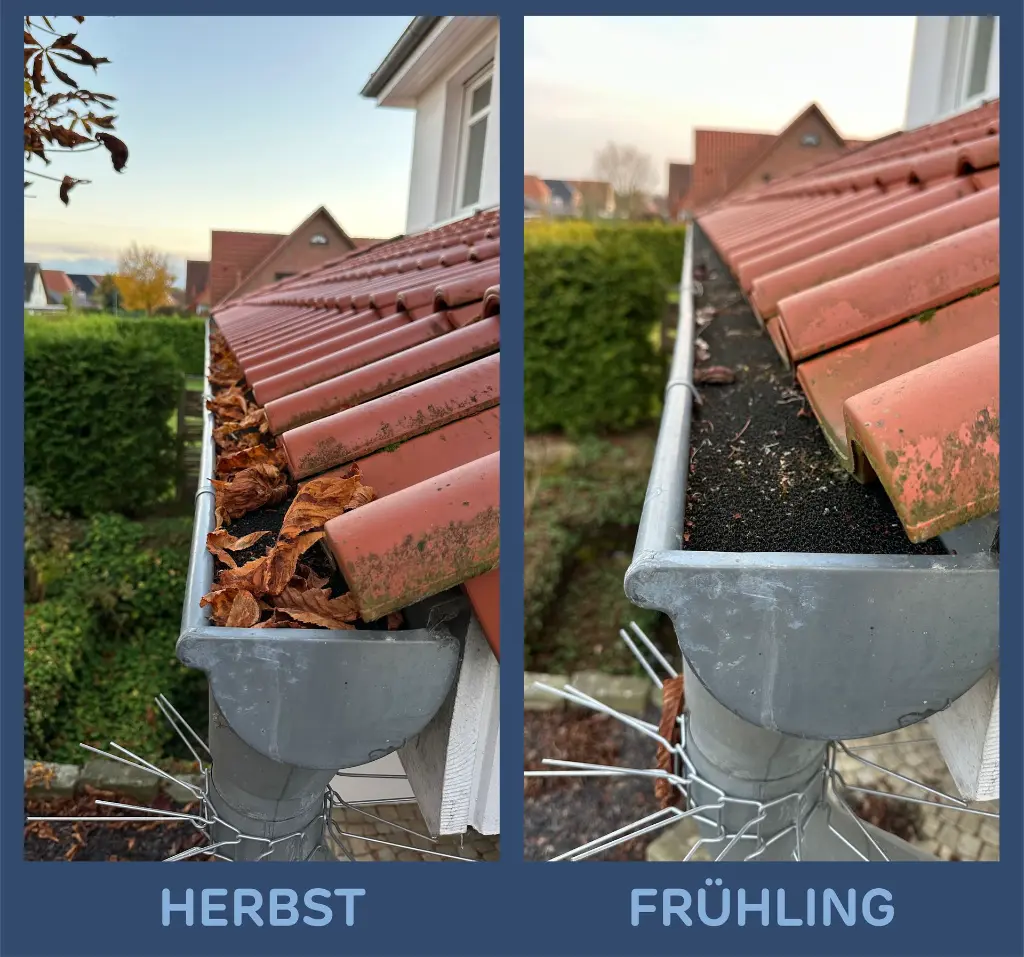 HERBST FRÜHLING.webp
