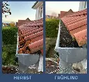HERBST FRÜHLING.webp