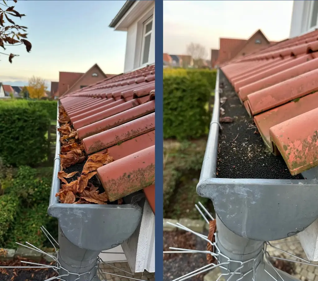 HERBST FRÜHLING t.webp